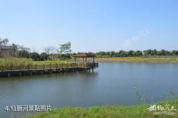泰興國家古銀杏公園-仙脈河照片