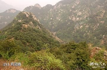 泰安徂徕山国家森林公园-鸡冠峰照片