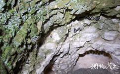 蒙斯斯皮耶納新石器時代燧石礦旅遊攻略之岩石