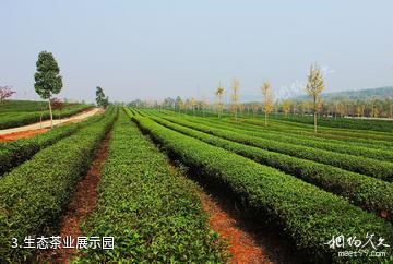 江西凤凰沟风景区-生态茶业展示园照片