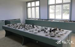 耀州窯博物館旅遊攻略之標本室