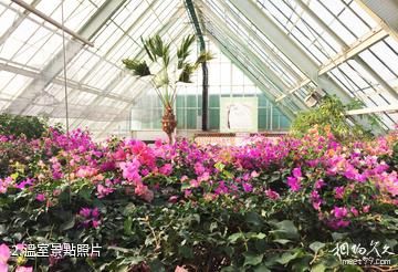 函館熱帶植物園-溫室照片