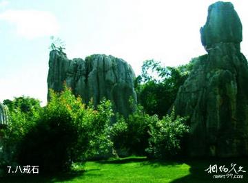 黑河山口湖风景区-八戒石照片