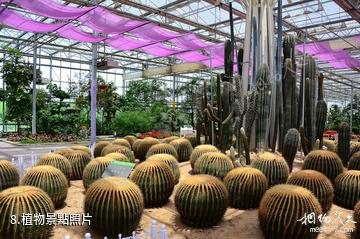 西安灃東現代都市農業博覽園-植物照片