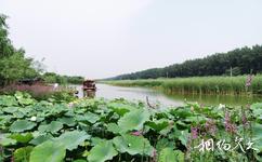 台兒庄運河濕地公園旅遊攻略
