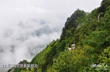 漢中天台森林公園-雲海茫茫照片
