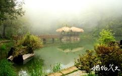台湾阿里山旅游攻略之高山植物园