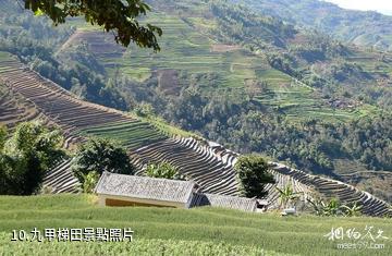 普洱鎮沅千家寨風景區-九甲梯田照片