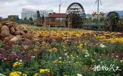 聚龍灣天然溫泉度假村旅遊攻略之花卉風情園