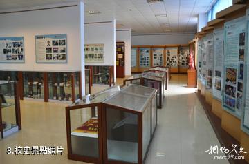 青島濱海學院世界動物標本藝術館-校史照片