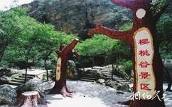 宁夏苏峪口国家森林公园旅游攻略之樱桃谷景区