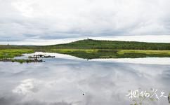 黑龍江烏伊嶺國家級自然保護區旅遊攻略之濕地