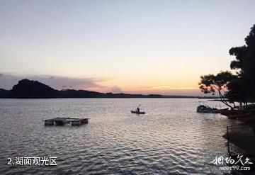 横县西津湖风景区-湖面观光区照片