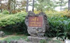 韩国济州岛旅游攻略之翰林公园