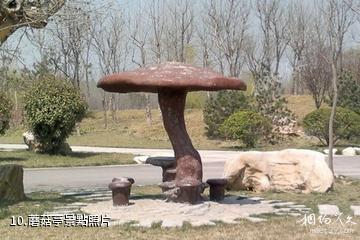 濟寧市墳上蓮花湖濕地景區-蘑菇亭照片