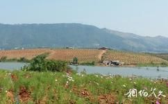 横县西津湖旅游攻略之生态游憩区