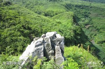 晴隆三望坪风景区-高岭林海照片