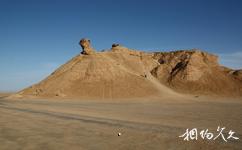 突尼斯杜兹小镇旅游攻略之骆驼山