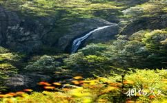 信阳市黄柏山国家森林公园旅游攻略之一线瀑