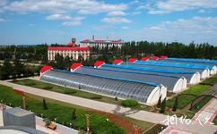 黑龙江省农业科学院园艺分院旅游攻略之日光节能温室