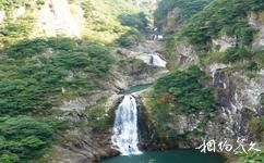 溫州永嘉龍灣潭國家森林公園旅遊攻略之五連瀑