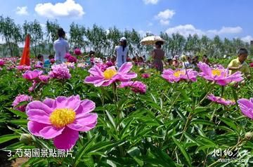 黑龍江農業經濟職業學院芍菊古苑景區-芍菊園照片