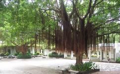 珠海香山公园旅游攻略之休闲广场