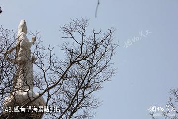 陝西南宮山國家森林公園-觀音望海照片