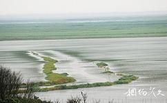 江西鄱陽湖南磯濕地國家級自然保護區旅遊攻略之南磯濕地