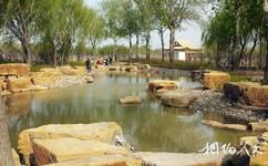 菏泽曹州牡丹园旅游攻略之野趣水景区