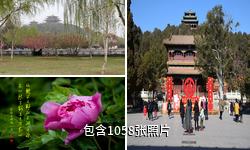 北京景山公园驴友相册
