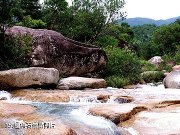 海南吊羅山國家森林公園-鱷魚石照片