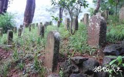 雲南騰衝國殤墓園旅遊攻略之烈士墓