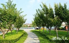 徐州金龙湖旅游攻略之滨湖景观带