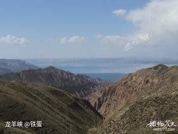 黄河行系列之三:高峡平湖