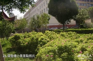 新疆大學-宿舍樓小景照片