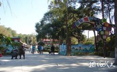 黑龙江省森林植物园旅游攻略之游乐园