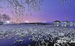 杭州西湖旅遊攻略之斷橋殘雪