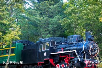 哈尔滨亚布力虎峰岭风景区-森林小火车照片