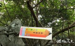 广西香桥岩旅游攻略之方言牌