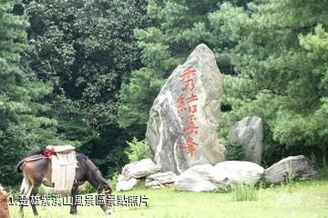 楚雄紫溪山風景區照片