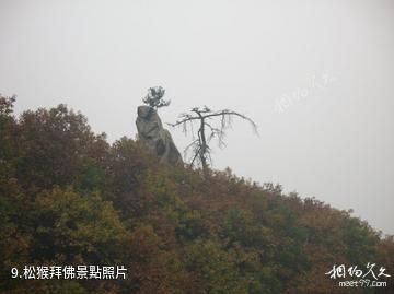 遵化鷲峰山-松猴拜佛照片