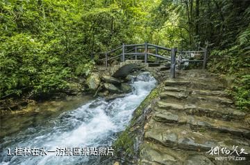 桂林在水一汸景區照片