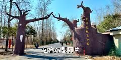 焦作森林動物園驢友相冊