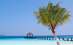 馬爾代夫旅游攻略之卡曼都島
