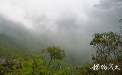 云南哀牢山国家级自然保护区旅游攻略之迷雾