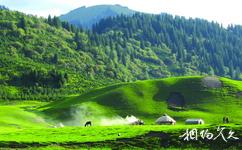 新疆伊犁河谷旅遊攻略之庫爾德寧景區