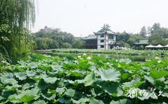 成都寶光桂湖文化旅遊攻略之天香園