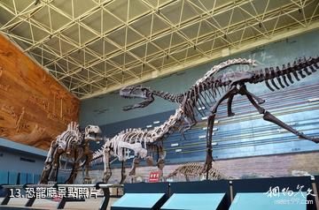 遼寧朝陽鳥化石國家地質公園-恐龍廳照片