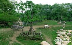 上海动物园旅游攻略之热带食草动物生态园